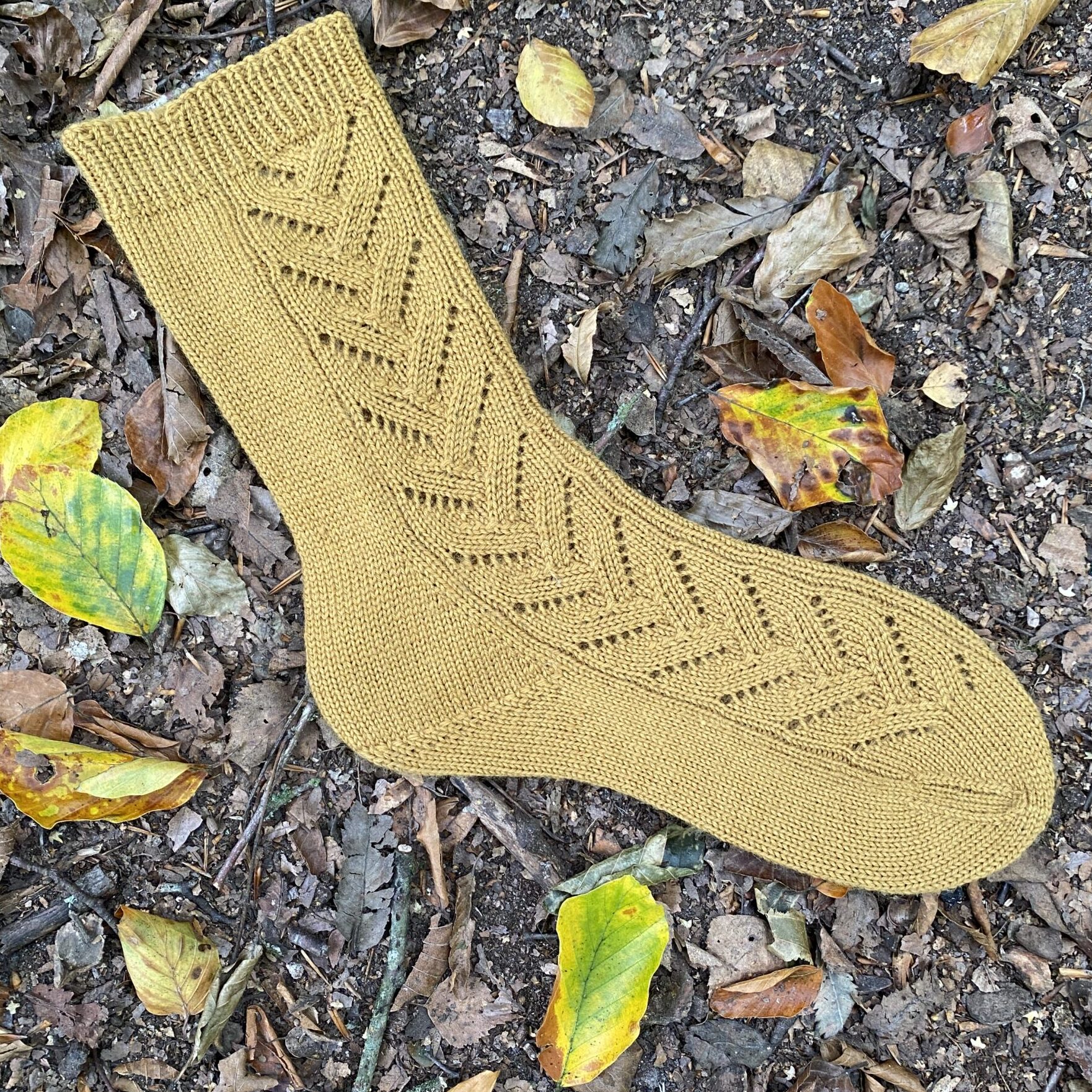 En gul Branches socka liggandes på marken tillsammans med hastiga löv.